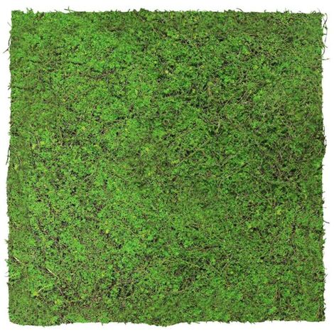 JANGAL Modular Wall Akustik 3D Paneele  520 x 520 mm Forest Green Ancient Tree Kunst Pflanzwand Naturfaser