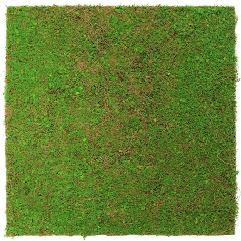 JANGAL Modular Wall Akustik 3D Paneele  520 x 520 mm Light Green Coconut Kunst Pflanzwand Naturfaser