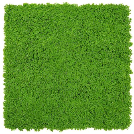 JANGAL Modular Wall Akustik 3D Paneele  520 x 520 mm Lime Green Design Moos Kunst Pflanzwand Moospaneele