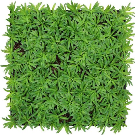 JANGAL Modular Wall Akustik 3D Paneele  520 x 520 mm Podocarpus Tea Tree Kunst Pflanzwand Naturfaser