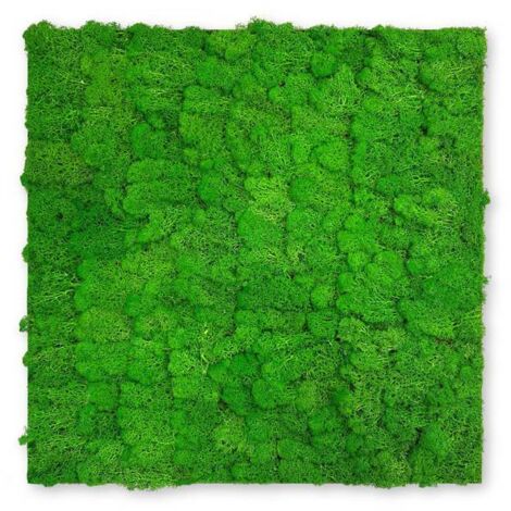JANGAL Modular Wall Akustik 3D Paneele  520 x 520 mm Rich Green Moos Moos Pflanzenwand Paneele Echtmoos