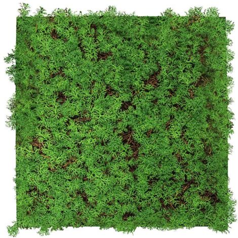 JANGAL Modular Wall Akustik 3D Paneele  520 x 520 mm Thuja Tea Tree Kunst Pflanzwand Naturfaser