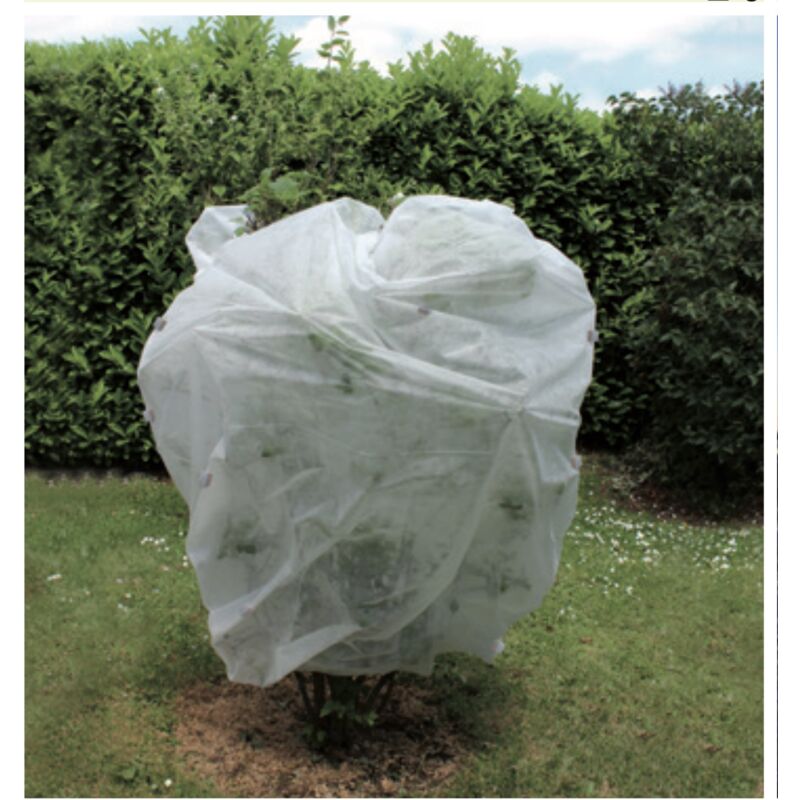 JANY FRANCE Voile d'hivernage 60g/m² - 2x10 m - En polypropylène non tissé - blanc