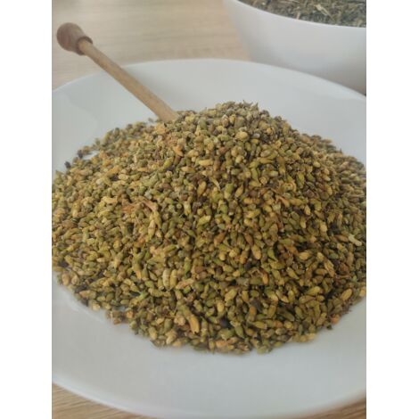 Japanischer Pagodenbaum Tinctura Sophorae Japonicae 50 G