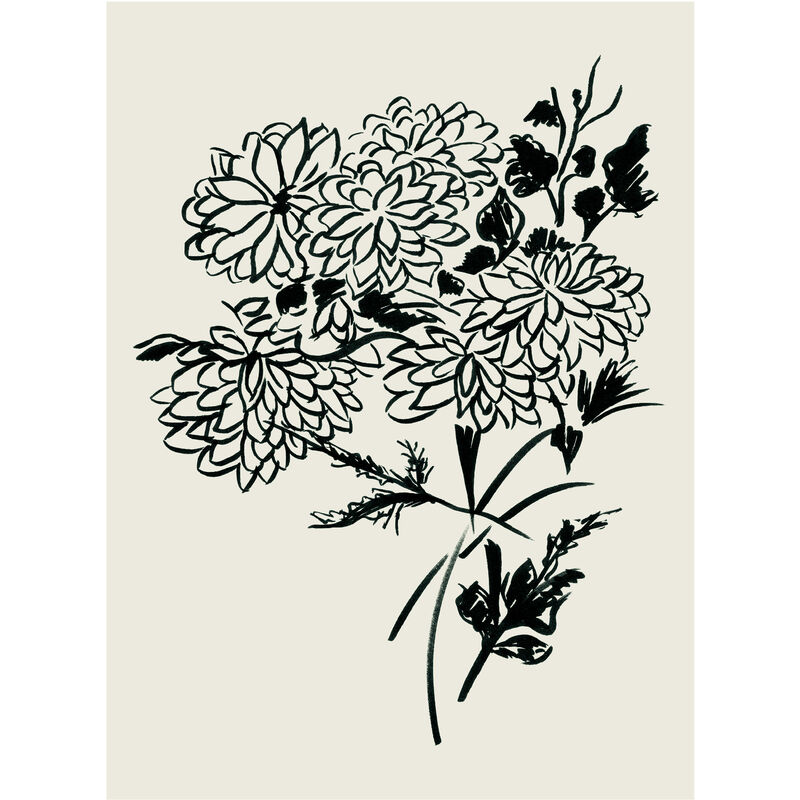 

JAPÓN - Póster Artístico Firmado – Crisantemo - 40x60cm