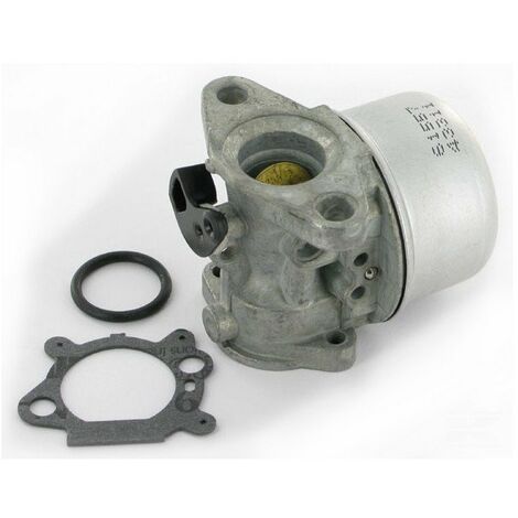 Jardiaffaires – Carburateur adaptable Briggs Stratton – Remplace 799868 – Compatible moteurs QUANTUM avec PRIMER – Solution efficace pour entretien moteur