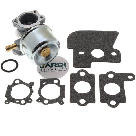 Jardiaffaires – Carburateur compatible Briggs Stratton Intek OHV – Remplace 790120, 692648, 694202 – Solution efficace pour moteurs usés