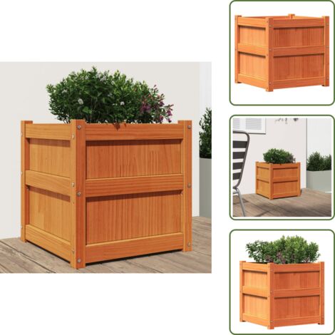Jardin de patio - vidaXL Jardinera exterior madera maciza pino marrón cera 50x50x50 cm - Jardín decorativo