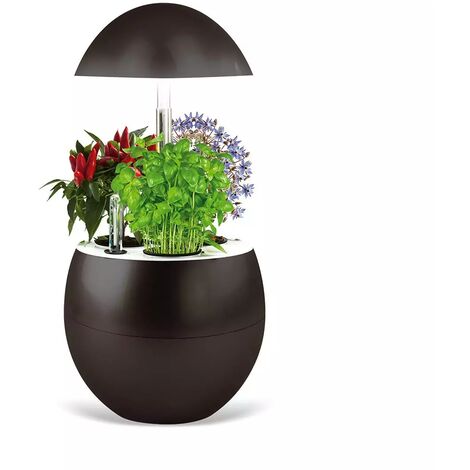 Jardin d'intérieur Vilma avec kit de démarrage et puce NFC - couleur charbon