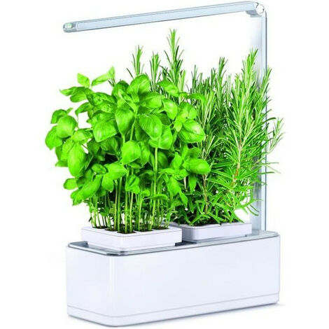 Jardin dinterieur Viviana avec Kit de demarrage et puce NFC