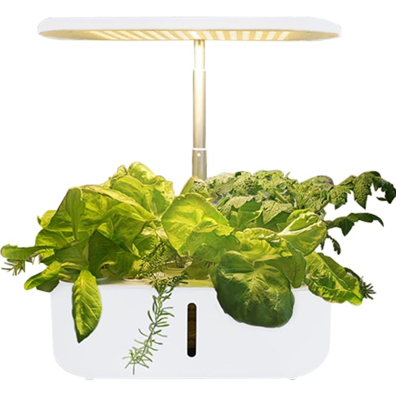 Jardin D'Plant Hydroponique, Lampe LED pour Plantes,10 Pods, Kit De Germination pour Jardin D'Herbes Aromatiques, SystèMe De Pompe Silencieux, éCran