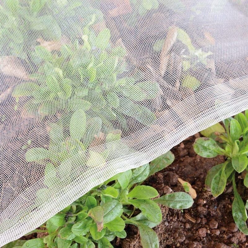 Jardin Filet Anti Insecte Potager: 2 x 5 m Maille Fine Protection pour Poireaux Arbre Fruitier Jardinage Voile de Plantes Blanche - Ineasicer