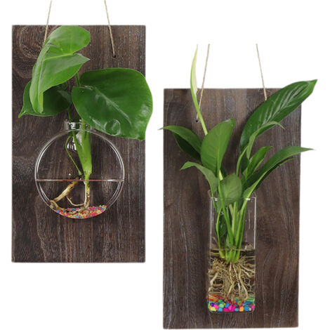 [Jardin hydroponique] Vases suspendus en verre avec planches en bois 2 pièces - Rond + Tube carré - Décor mural naturel
