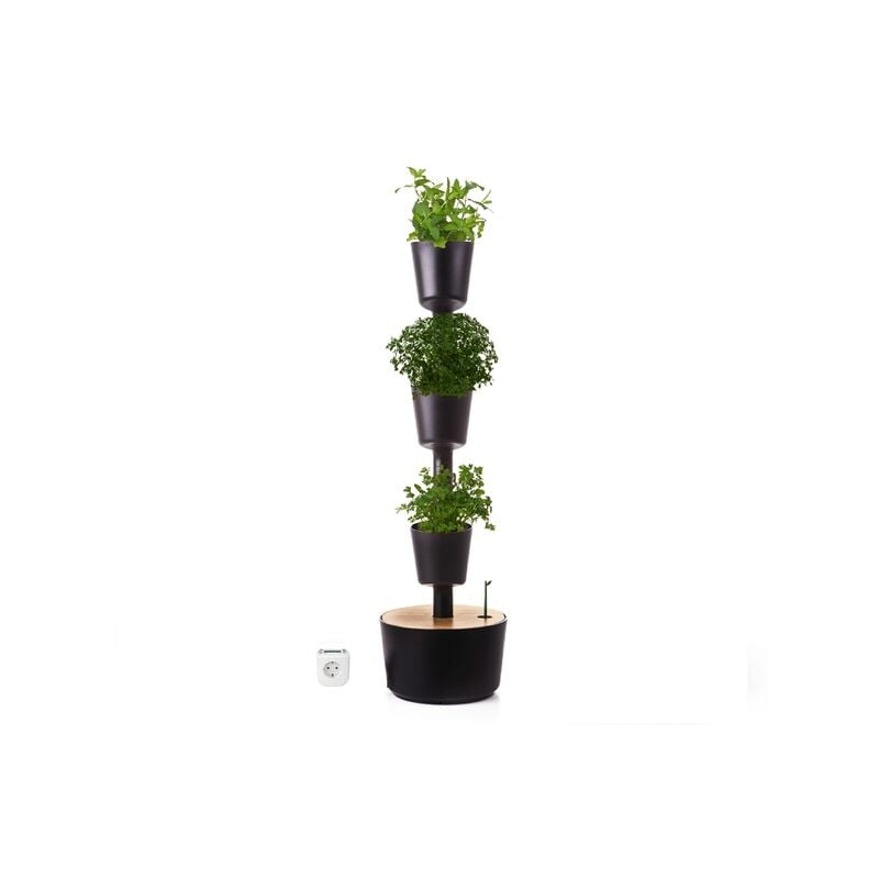 

Jardín vertical Aromaticas color negro 4 macetas - Citysens