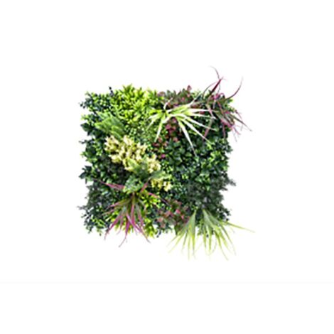 Jardin vertical belice c 50 x 50 cm
