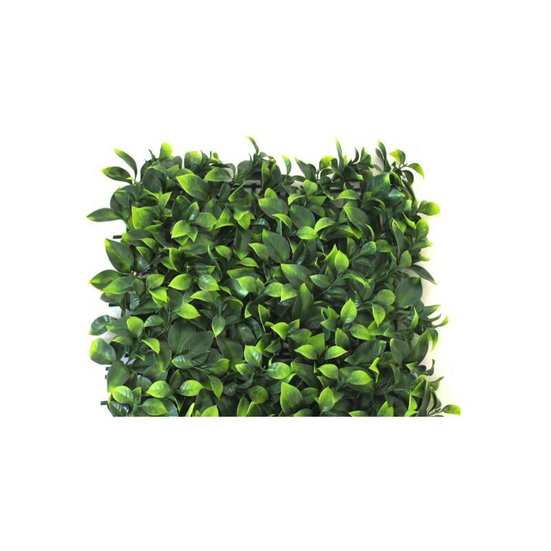 

Jardín Vertical modelo Laurel 1 x 1 metros