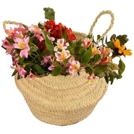 JARDIN202 - JARDIN202 - Cesta de Mimbre Cubremaceta – Canasta Multiusos Decorativa para Plantas y Almacenaje  Pequeña ()  Pequeña  Pequeña -