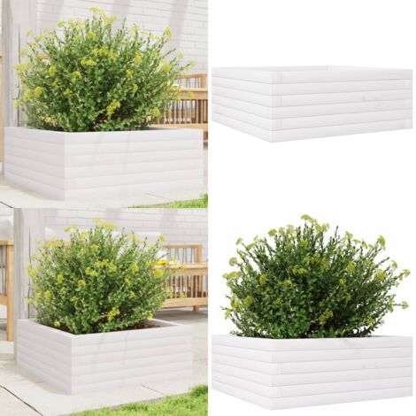 Jardinera de madera maciza de pino blanca 60x60x23 cm - Macetero de jardín - Jardinera de pino