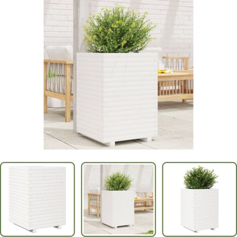 Jardinera de pino -  Jardinera madera maciza de pino blanco 50x50x72 cm