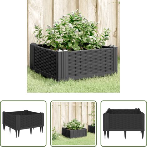 Jardinera de vegetales -  Jardinera con clavijas PP negro 42,5x42,5x28,5 cm