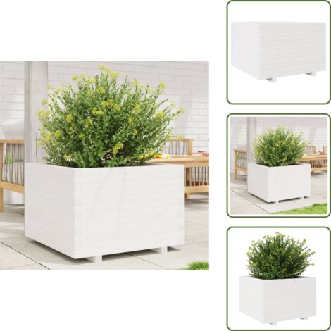 Jardinera decorativa - vidaXL Jardinera madera maciza de pino blanco 70x70x49,5 cm - Jardinera para patios