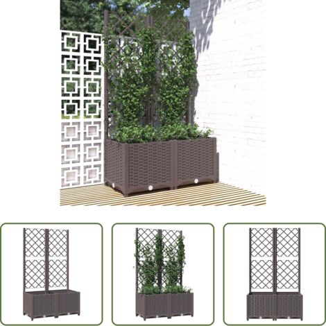 Jardinera exterior - Jardinera con enrejado PP marrón 80x40x136 cm