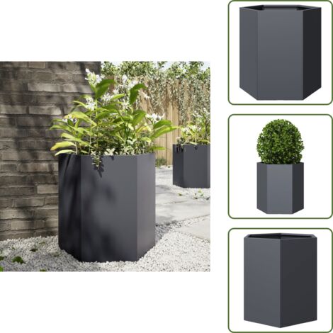 Jardinera para flores - vidaXL Jardinera hexagonal acero gris antracita 46x40x45 cm - Jardinera para verduras