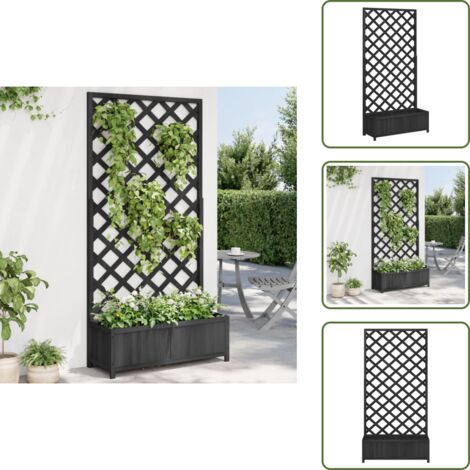 Jardinera para plantas trepadoras - vidaXL Jardinera con enrejado madera maciza de abeto negro - Jardinera para flores