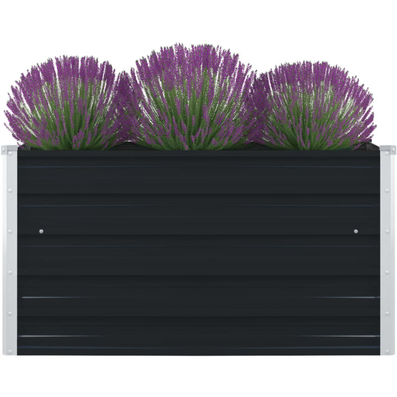 Vidaxl - Jardinière 100 x 100 x 45 cm Acier galvanisé Anthracite