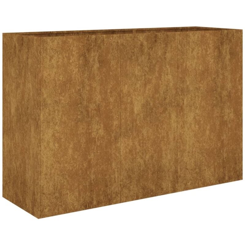 Vidaxl - Lit surélevé de jardin 120x40x80 cm acier corten