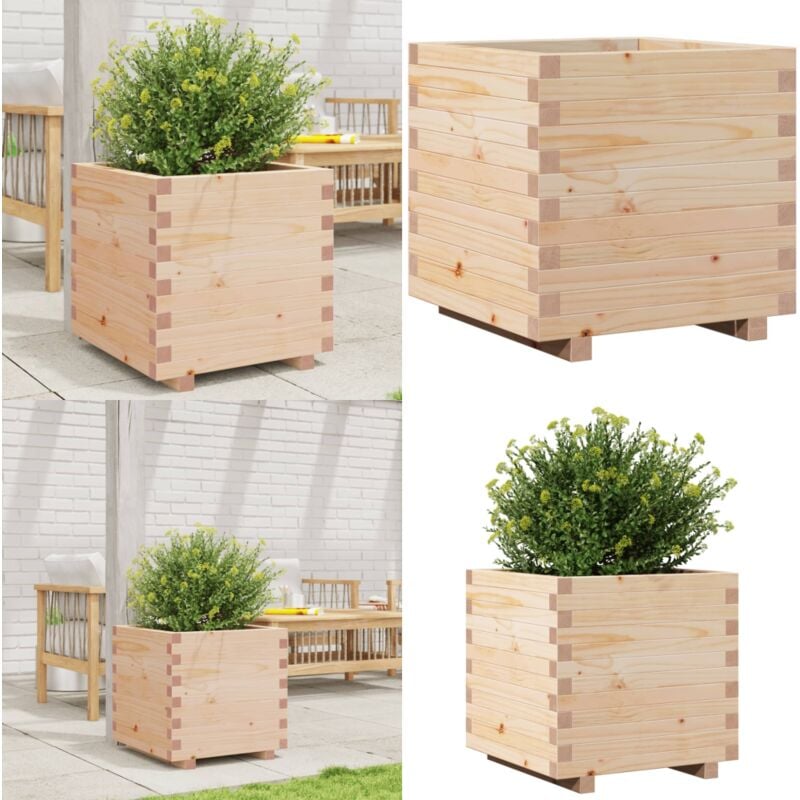 Vidaxl - Jardinière 50x50x49,5 cm bois de pin massif - Jardinier - Pot De Fleurs - Plante - Extérieur - Terrasse - Home & Living