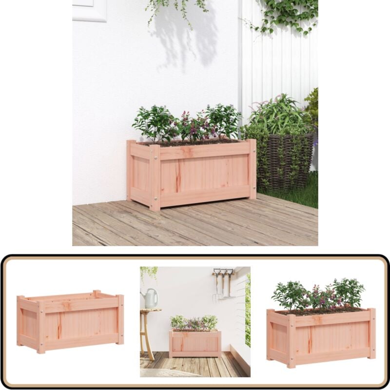 Vidaxl - Jardinière 60x31x31 cm bois massif douglas - Jardiniered'extérieure - Pot De Fleurs Extérieur - Jardinière Bois - Douglis - Déco Jardin