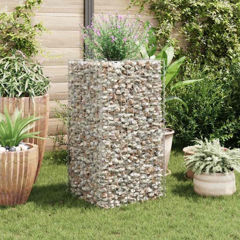 Jardinière à gabion. Bac à fleurs, Lit surélevé de jardin acier 50x50x100 cm pjhr69721 design in