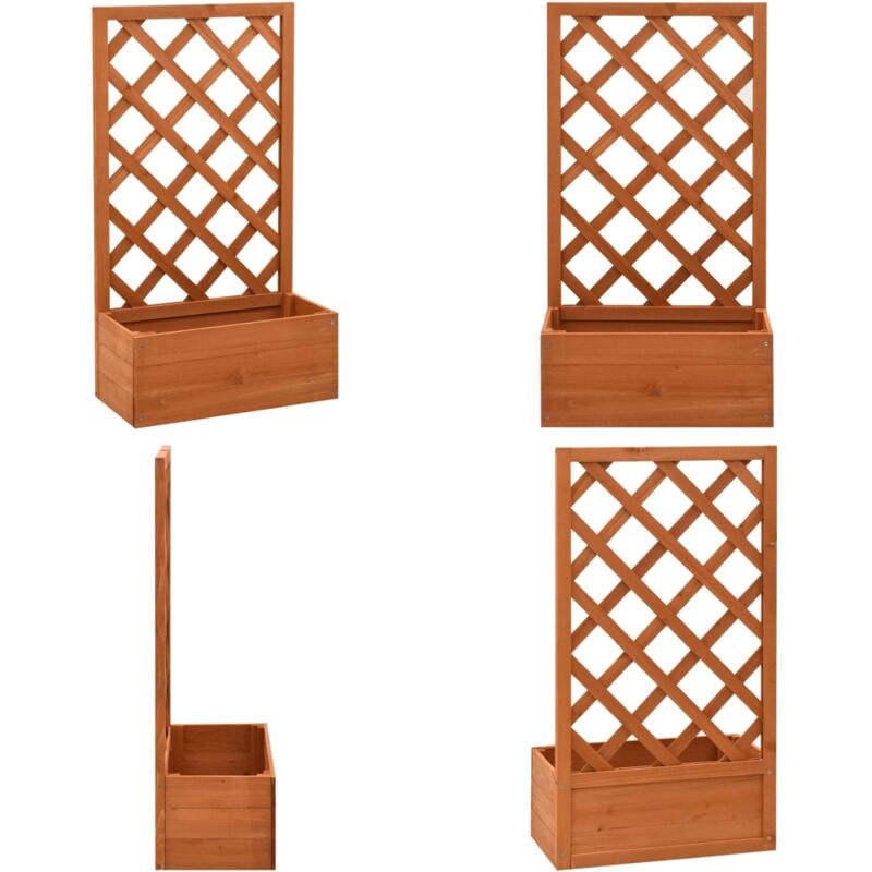 Jardinière à treillis de jardin Orange 50x25x90cm Bois de sapin - Jardinière - Pot De Fleurs - Plante Grimpante - Treillage - Bois De Sapin - Home &