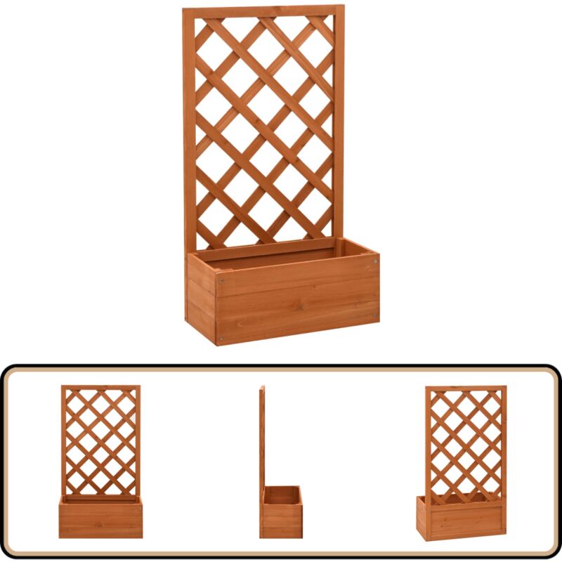 Jardinière à treillis de jardin Orange 50x25x90cm Bois de sapin - Jardinière - Pot De Fleurs - Plante Grimpante - Treillage - Bois De Sapin