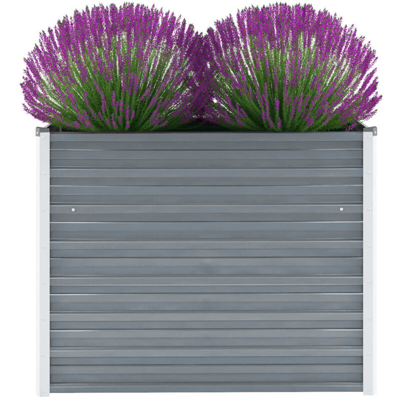 Vidaxl - Lit surélevé de jardin Acier galvanisé 100x40x77 cm Gris