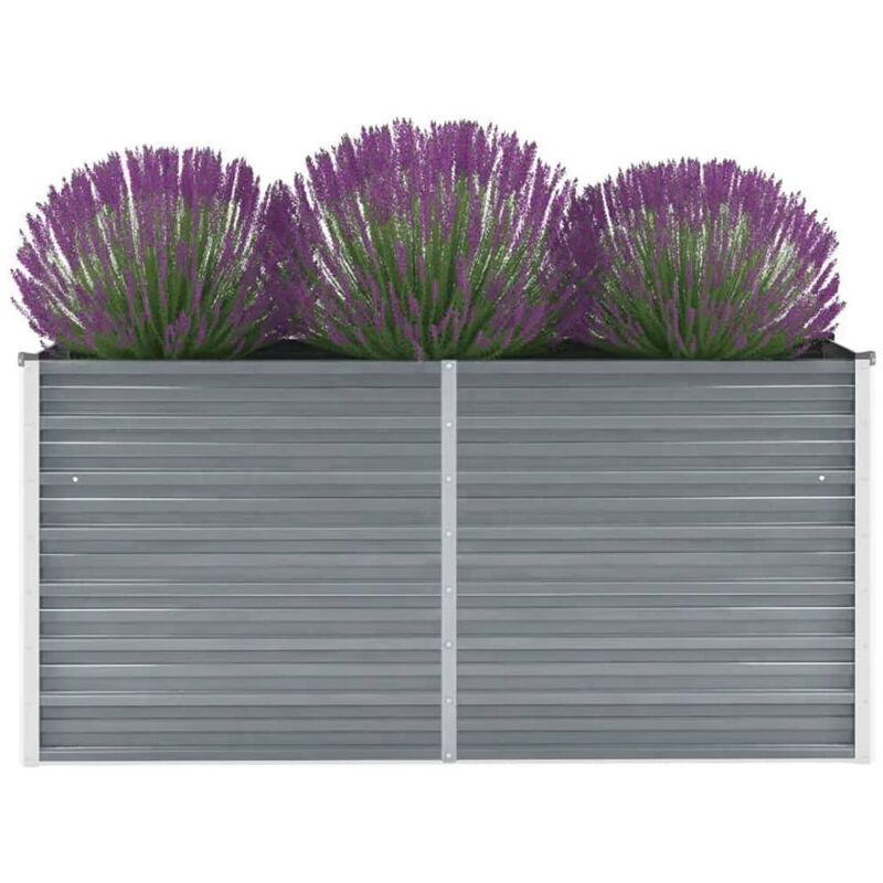 Vidaxl - Lit surélevé de jardin Acier galvanisé 160x40x77 cm Gris
