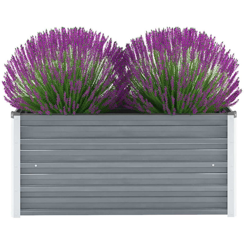 Vidaxl - Lit surélevé de jardin Acier galvanisé 100x40x45 cm Gris