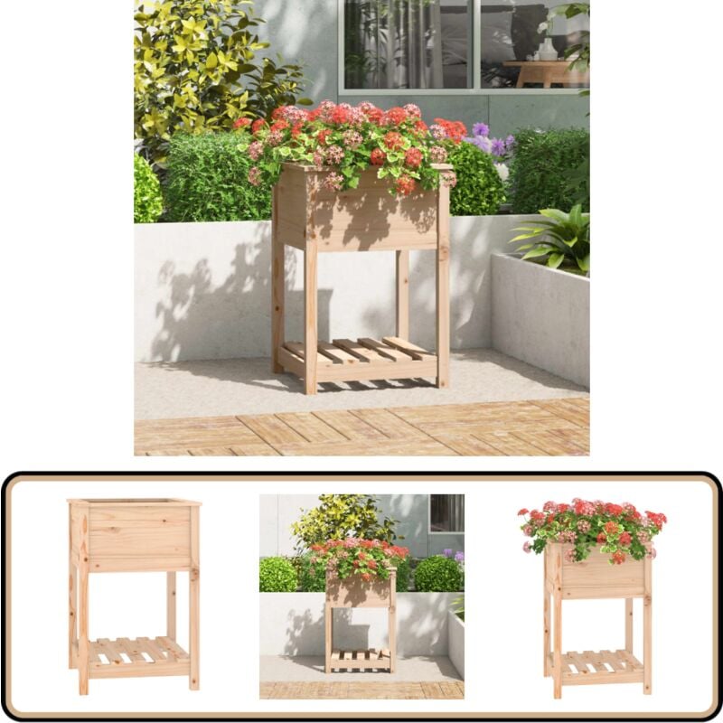 Jardinière avec étagère 54x54x81 cm Bois massif de pin - Jardinier - Pot De Fleurs - Jardinière Extérieure - Bois Massif - Pin