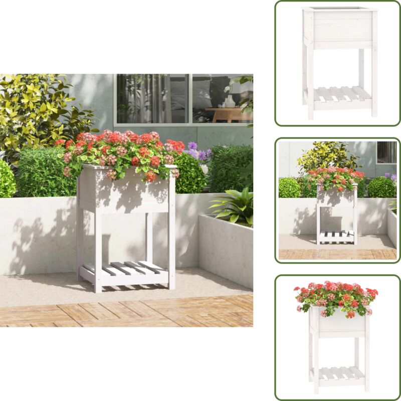 Vidaxl - Jardinière avec étagère Blanc 54x54x81 cm Bois massif de pin - Jardinier - Jardinière Extérieure - Pot De Fleurs Extérieur - Plante