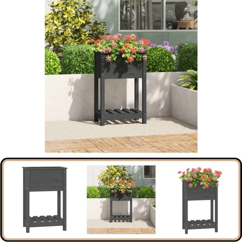 Jardinière avec étagère Gris 54x34,5x81 cm Bois massif de pin - Jardinier - Pot De Fleurs - Jardinière Extérieure - Plante - Décoration Extérieur