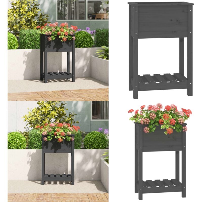 Jardinière avec étagère Gris 54x34,5x81 cm Bois massif de pin - Jardinier - Pot De Fleurs - Jardinière Extérieure - Plante - Décoration Extérieur