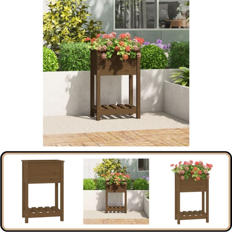Jardinière avec étagère Marron miel 54x34,5x81 cm Bois de pin - Jardinier - Jardinerie - Pots De Fleurs - Bac à Fleurs - Plante