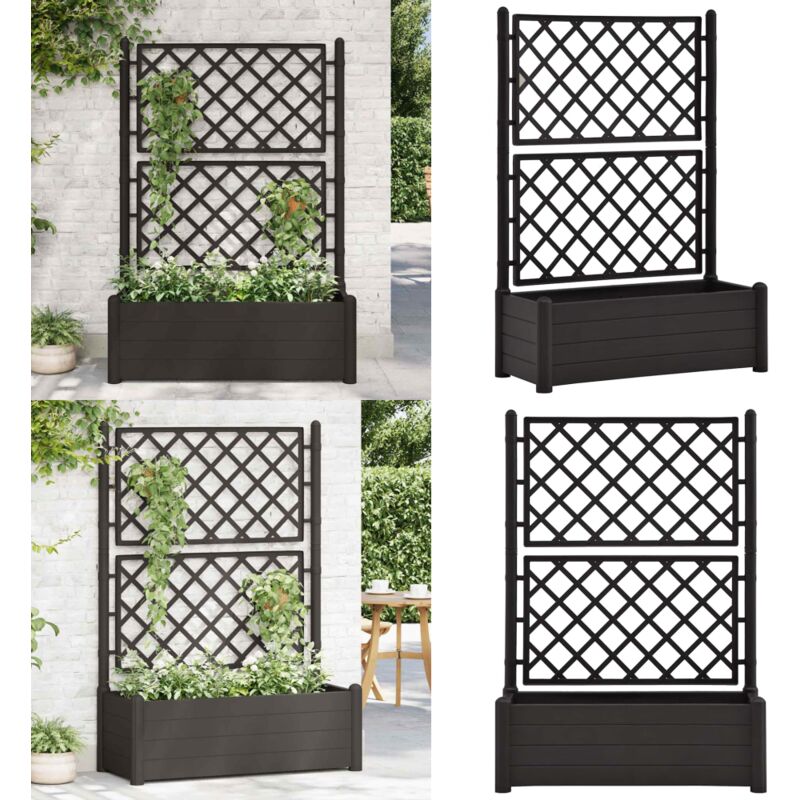 Vidaxl - Jardinière avec treillis 100x43x142 cm pp Anthracite - Jardinier - Pot De Fleurs - Plante Grimpante - Lit Surélevé - Décoration Extérieure