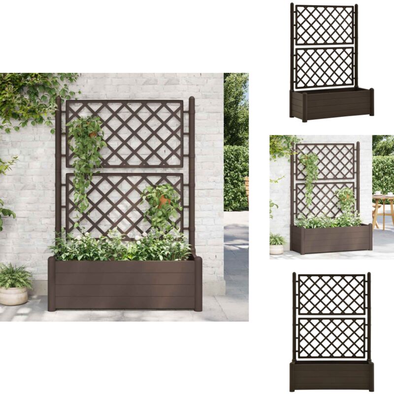 Vidaxl - Jardinière avec treillis 100x43x142 cm pp Moka - Jardinier - Pot De Fleurs - Plante Grimpante - Bac à Fleurs - Décoration Extérieure