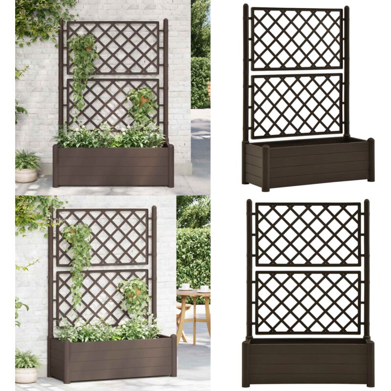 Vidaxl - Jardinière avec treillis 100x43x142 cm pp Moka - Jardinier - Pot De Fleurs - Plante Grimpante - Bac à Fleurs - Décoration Extérieure - Home