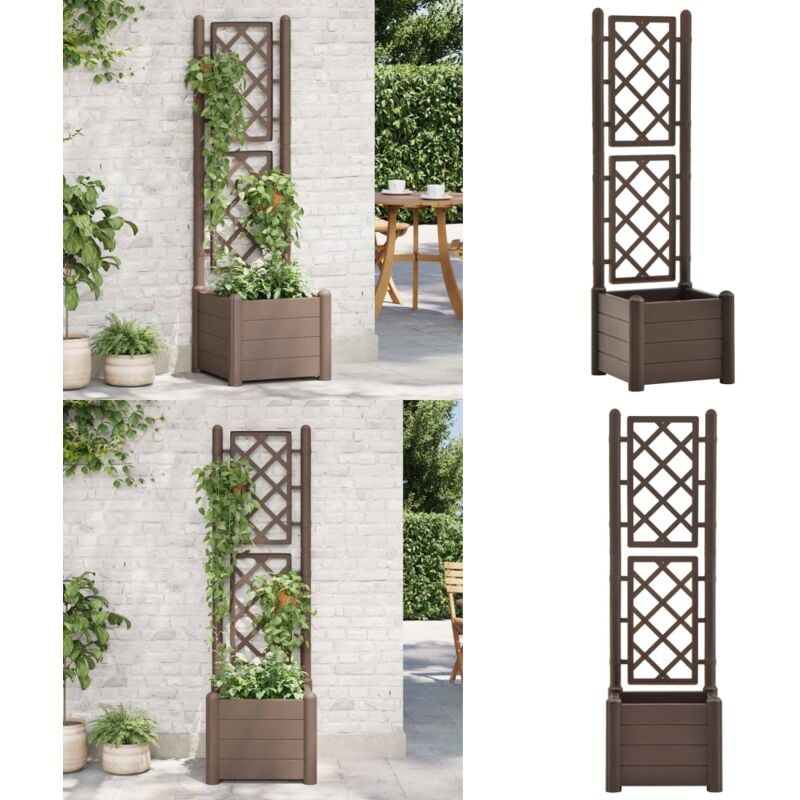 Vidaxl - Jardinière avec treillis 43x43x142 cm pp Moka - Jardinier Avec Trellis - Pot Plante Exterieur - Jardinerie - Pots Fleurir - Fleur Grimpante