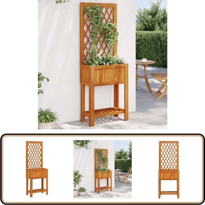 Vidaxl - Jardinière avec treillis et étagère bois massif d'acacia - Jardinier - Pot De Fleurs - Bac à Plantation - Acacia - Plante Grimpante