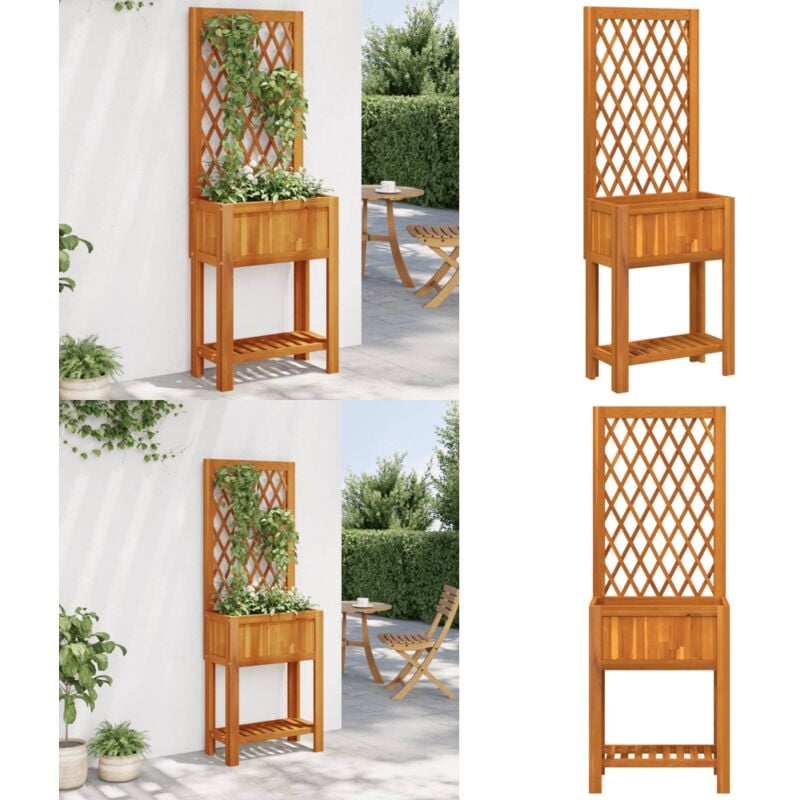 Vidaxl - Jardinière avec treillis et étagère bois massif d'acacia - Jardinier - Pot De Fleurs - Bac à Plantation - Acacia - Plante Grimpante - Home &