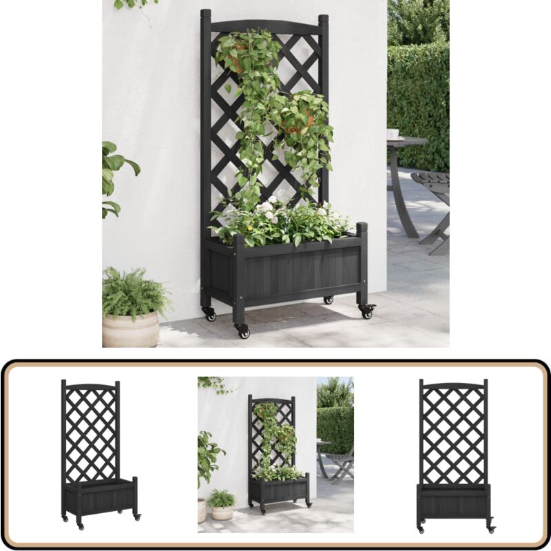Jardinière avec treillis et roues noir bois massif de sapin - Jardinierre Extérieure - Jardinière Design - Pot Plante Grimpante - Pot Fleuri - Bac